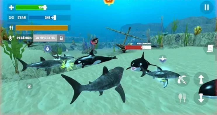 鲨鱼模拟器3D(1)