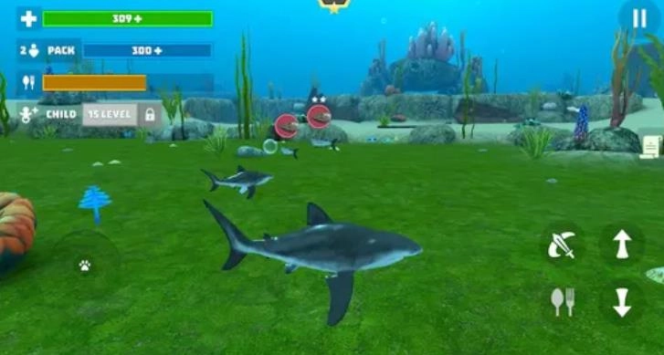 鲨鱼模拟器3D(2)