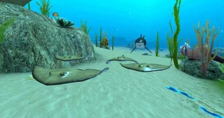 鲨鱼模拟器3D(3)