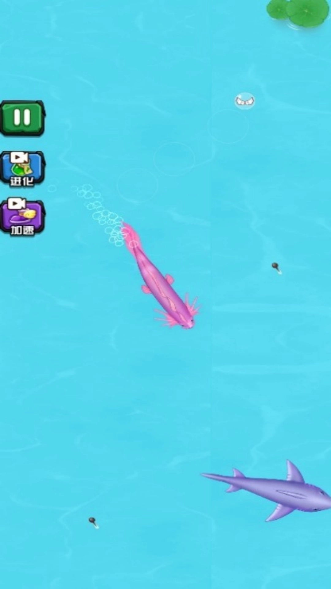 召唤疯狂神龙原版