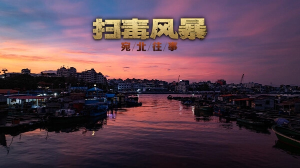 扫毒风暴宛北往事(完整版