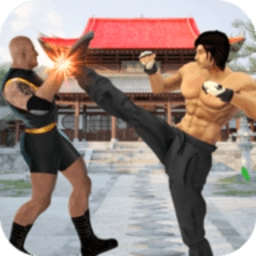 功夫冠军格斗