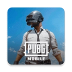 地铁逃生pubg(PUBG MOBILE)
