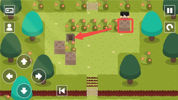 推箱子乐园DX(SKBLandDX)安卓直装版