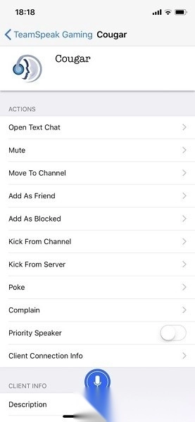 teamspeak安卓版图2