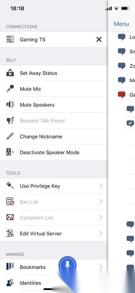 teamspeak安卓版图3