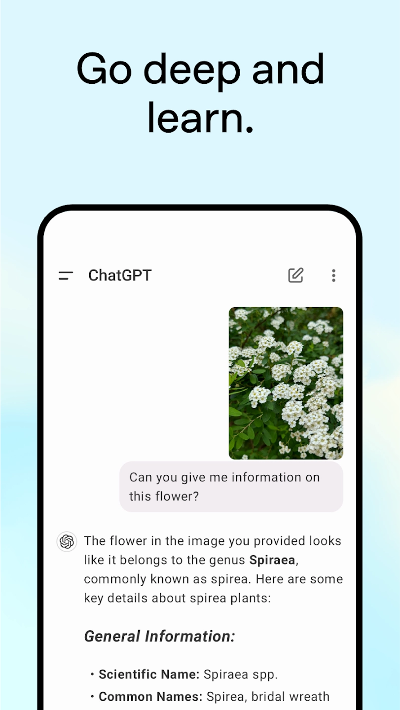 chat官方最新版图1