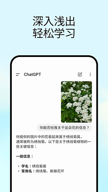 ChatGPT(3)