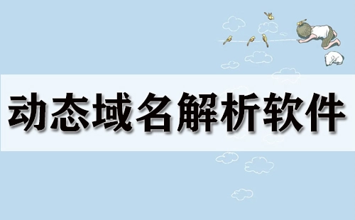 动态域名解析软件汇总-哪款动态域名解析软件更出色