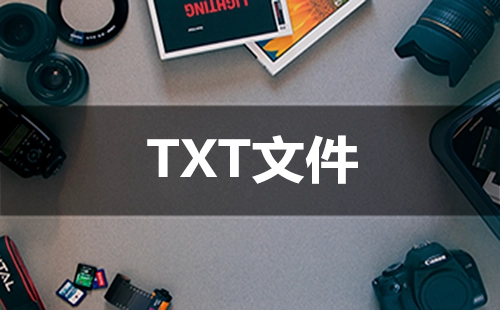 txt文件资源汇总——哪款txt文件更值得选择