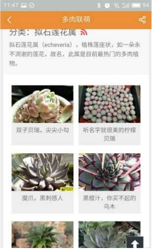 多肉联萌客户端最新免费版