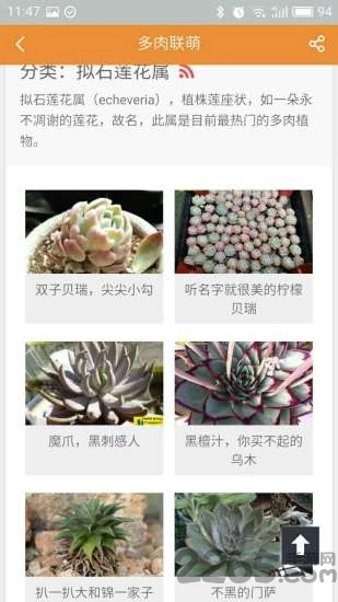 多肉联萌客户端最新免费版