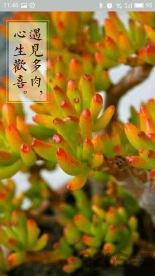 多肉联萌客户端最新免费版