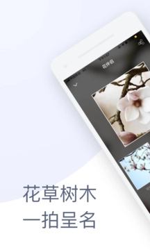 花伴侣通用版图2