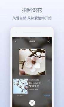 花伴侣通用版图1