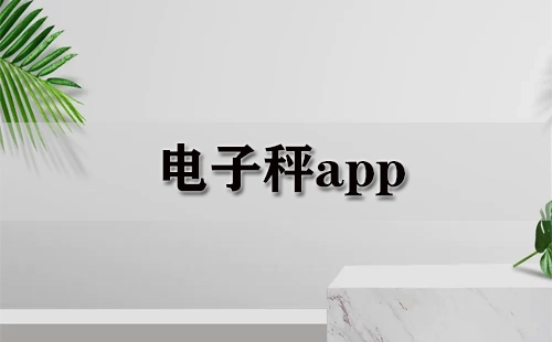 电子秤应用程序汇总-哪款电子秤应用程序更出色