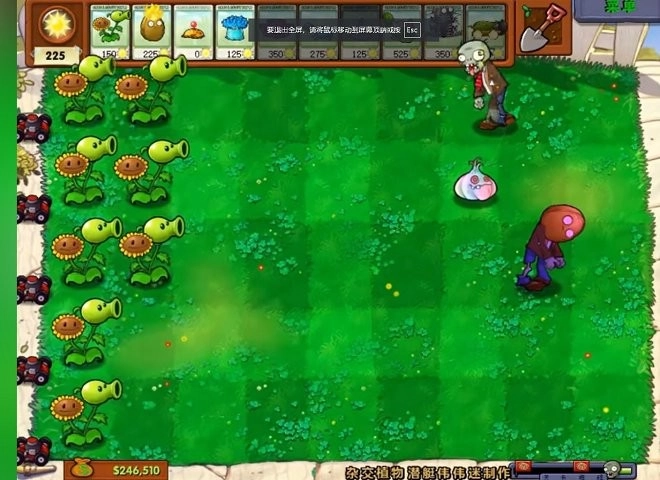 PVZ杂交版图2