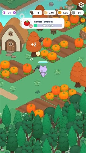 鬼鬼祟祟的猫(1)