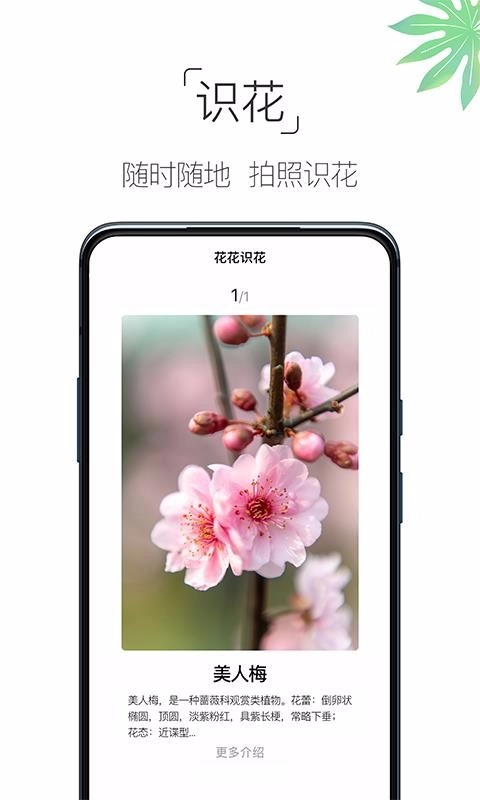万能工具箱手机正版