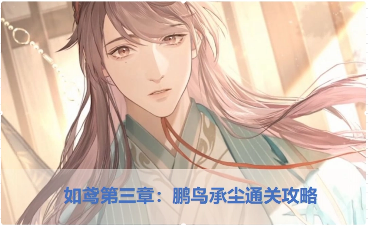 鸢/代号鸢第三章“鹏鸟承尘”的通关方法是什么？该搭配怎样的阵容才能顺利通过呢？