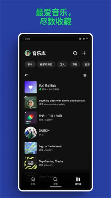 Spotify手机正版图4