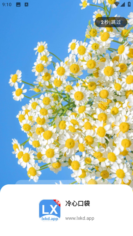 冷心口袋免费版