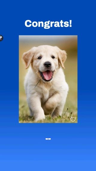 拼图块(Jigblock Puzzle)(2)