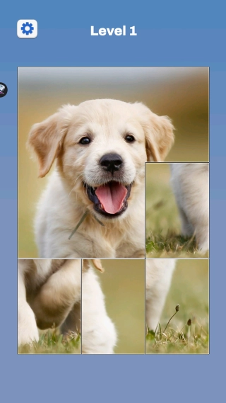 拼图块(Jigblock Puzzle)(4)