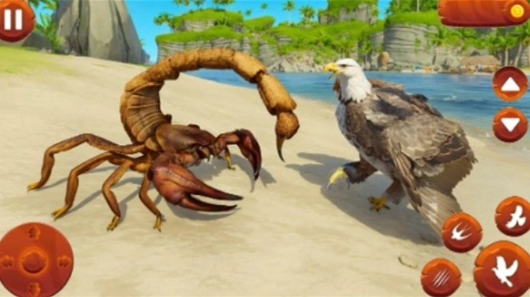 野生鸟类生活模拟器(野生鸟类生活模拟器安装器)