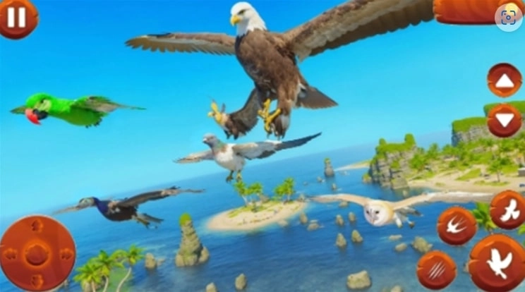 野生鸟类生活模拟器(野生鸟类生活模拟器安装器)