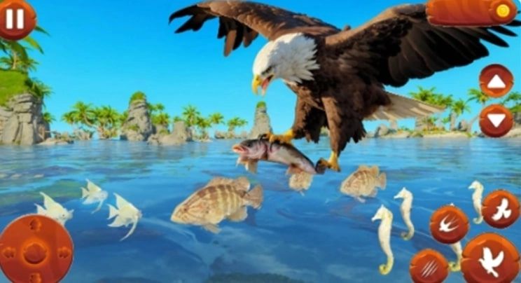 野生鸟类生活模拟器(野生鸟类生活模拟器安装器)