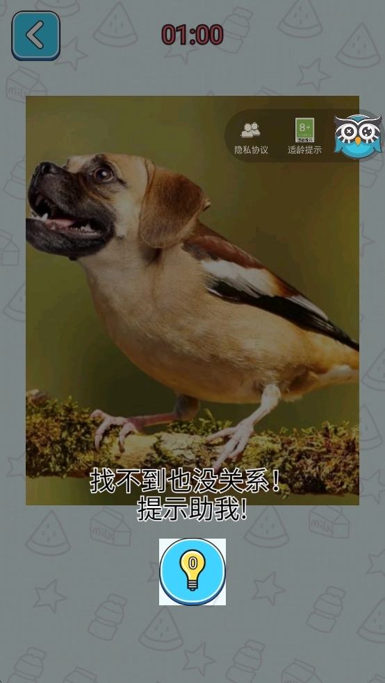 哪里不太对手机版下载