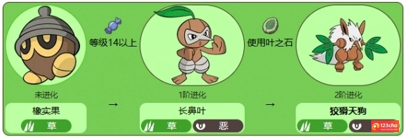 长鼻叶怎么进化