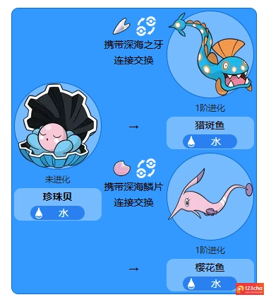 珍珠贝怎么进化