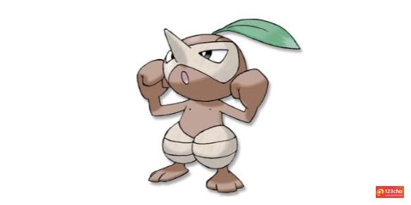 长鼻叶怎么进化