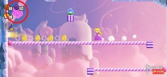 超级马里奥惊奇杆子杆子杆子紫币在哪