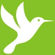 蜂鸟影院官方正版