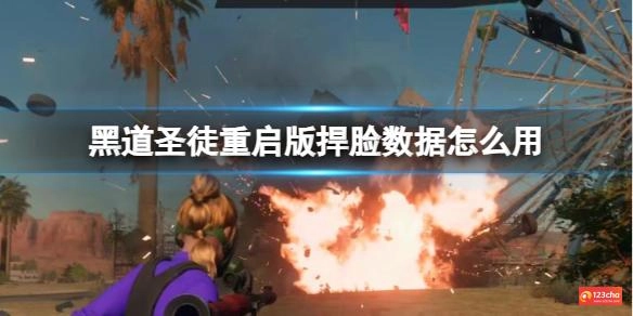 黑道圣徒重启版捍脸数据怎么用