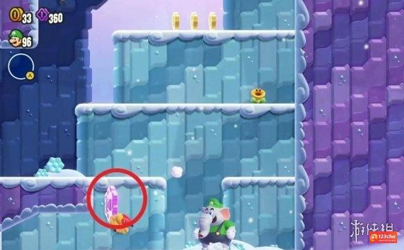 超级马里奥惊奇飞过来了紫币在哪