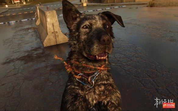 孤岛惊魂6狗怎么标记
