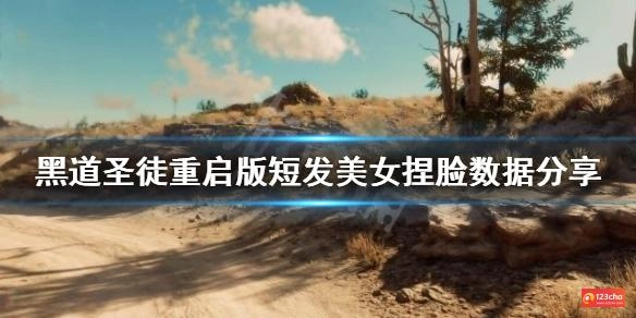 黑道圣徒重启版短发美女怎么捏