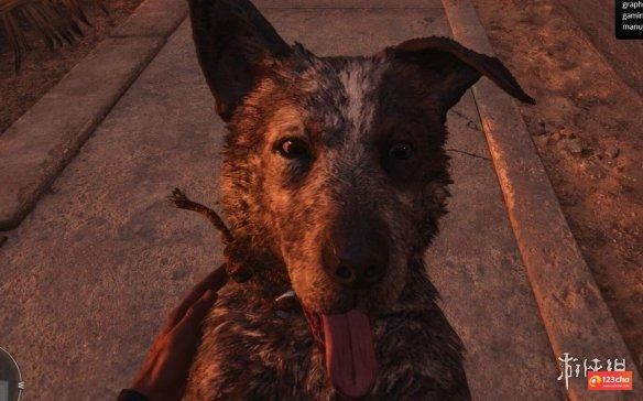 孤岛惊魂6狗怎么标记