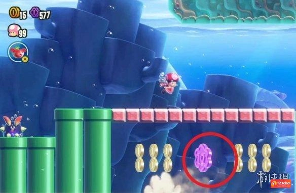 超级马里奥惊奇海蹬的地盘紫币在哪