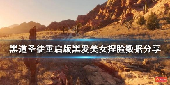黑道圣徒重启版黑发美女怎么捏