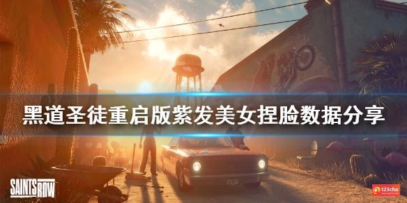 黑道圣徒重启版紫发美女怎么捏