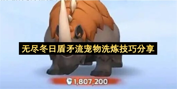 无尽冬日盾矛流派宠物洗炼技巧分享