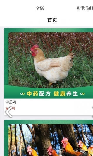 福兴川农图3