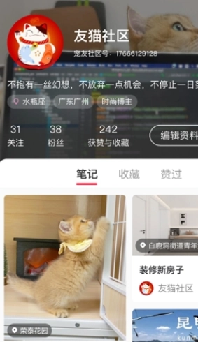 宠友社区