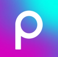 piscart通用版