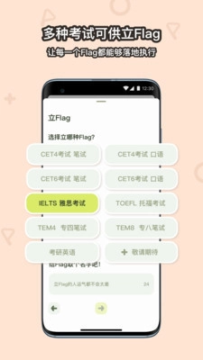 Flaget手机正版图3
